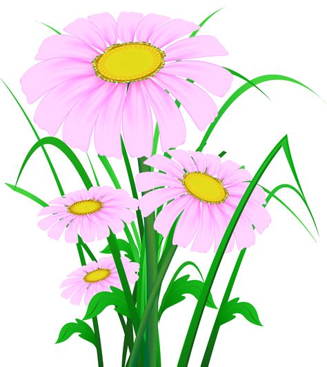 Daisy Png Clipart Free Png Image