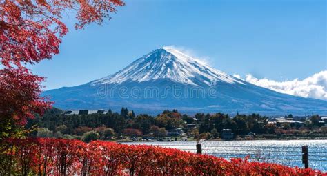 Mount Fuji In Autumn Color Japan Stock Image Image Of Japanese Leaf