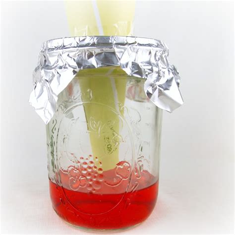 Rise And Shine A Fruit Fly Trap That Works