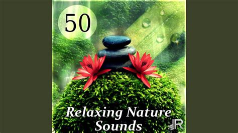Spa Music Relaxation Meditation Youtube