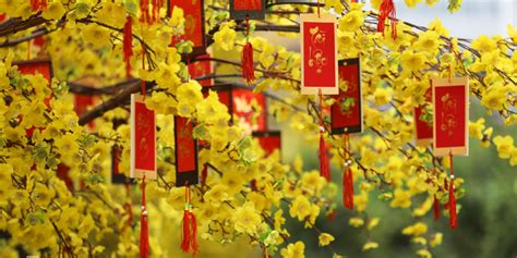 Vietnamese Tet Flowers And Top Lucky Plants For Welcoming New Year