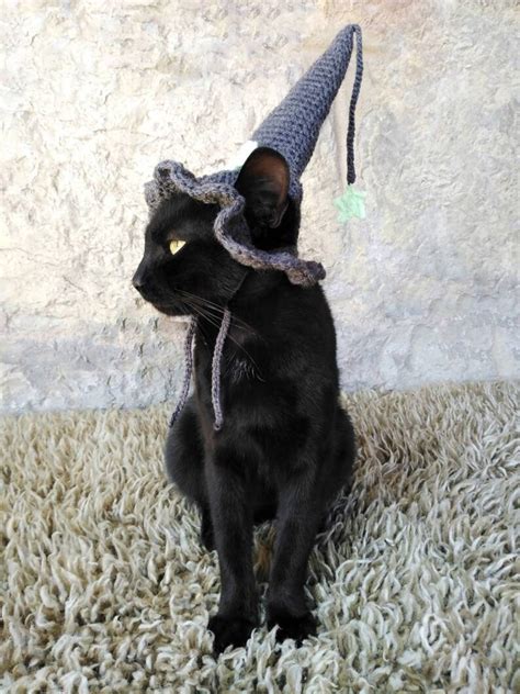Gray Witch Hat For Cat Pet Costume Cat Halloween Costume Etsy