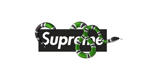 1600x900 gucci x supreme collab inspired by post on front page . Supreme And Gucci Wallpapers - Wallpaper Cave