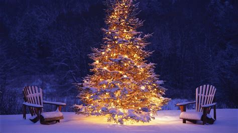 Light Decorations Christmas Tree On Snow In Snow Covered Forest