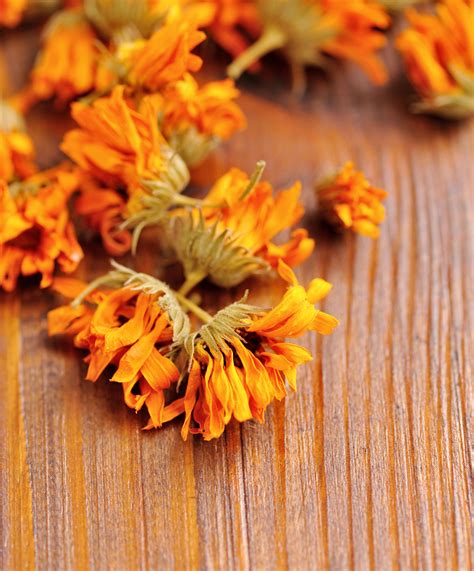 10 Best Blooms For A Dried Flower Bouquet Sunset Magazine
