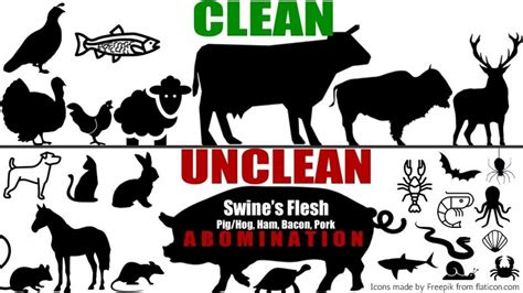 Clean And Unclean Foods Full Health Secrets