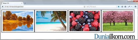 3. Bagaimana Cara Membuat Galeri Gambar di Halaman Web Anda?