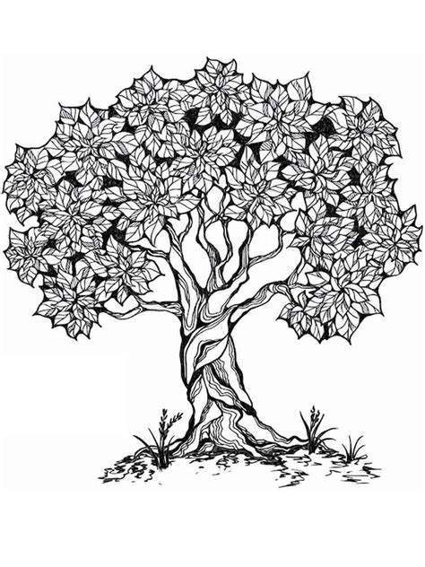 49 Tree Coloring Pages Printable Heartof Cotton Candy