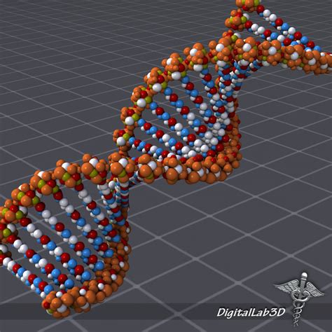 Dna Structure Molecules 3d Max