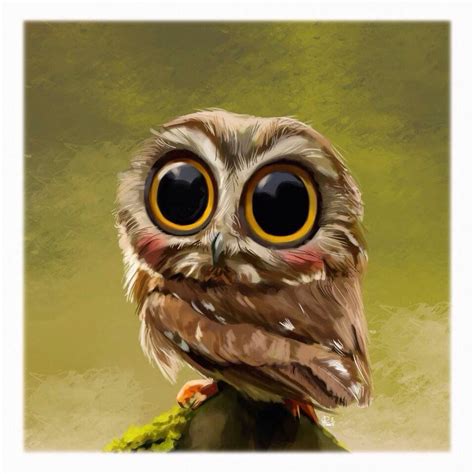 Baby Owl Eule Schöne Vögel Tiere Und Haustiere