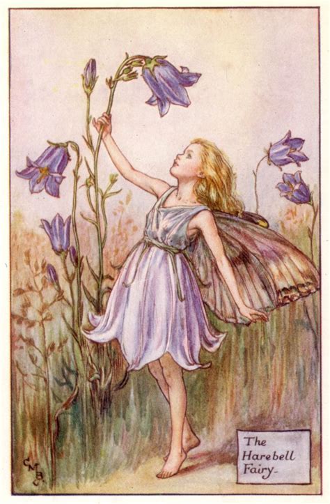 The Harebell Fairy Cicely Mary Barker Vintage Fairies Flower Fairies