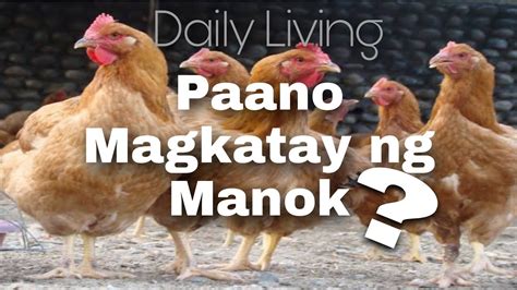 Paano Magkatay Ng Manok Part 2 Native Na Manok Simpleng Buhay Sa