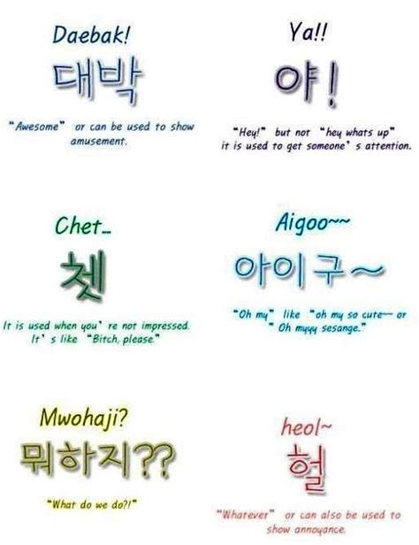 An Image Of Different Types Of Words In Korean