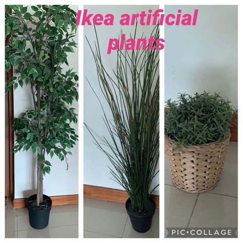 Ikea Artificial Plants All 3 Furniture And Home Living Home Decor