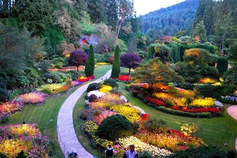 Most Beautiful Flower Gardens In Canada Butchart Gardens