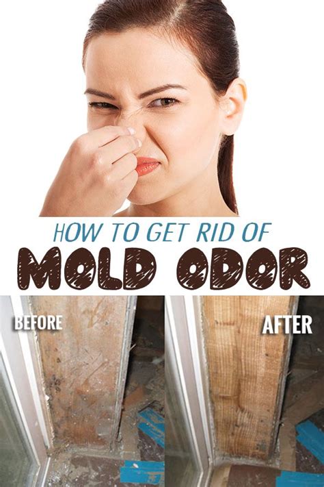 How To Get Rid Of Mold Odor Ideasforcleaning Get Rid Of Mold