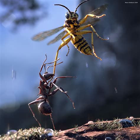 Cgmeetup Bugs War Ant Vs Wasp By Mauro Baldissera