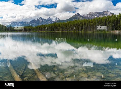 Reflection On Herbert Lake Along The Icefields Parkway In Banff