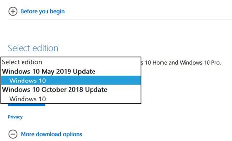 Download Windows 10 May 2019 Update Version 1903 Iso