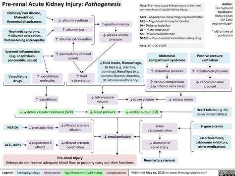 Chronic kidney disease (ckd)—or chronic renal failure (crf), as it was historically termed—is a term that encompasses all degrees of decreased kidney whatever the underlying etiology, once the loss of nephrons and reduction of functional renal mass reaches a certain point, the remaining nephrons. Pre-Renal Acute Kidney Injury: Pathogenesis | Calgary Guide