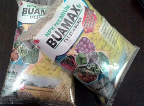 See more of sejahtera abadi on facebook. Megu Tani: Olahan Manisan Mangga, Buah Tangan Khas Cirebon
