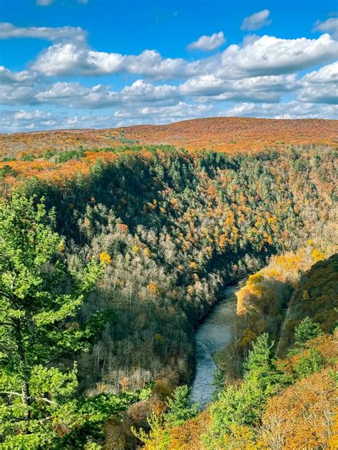 Grand Canyon Of Pennsylvania Gallery Posted By Naturend Lemon8