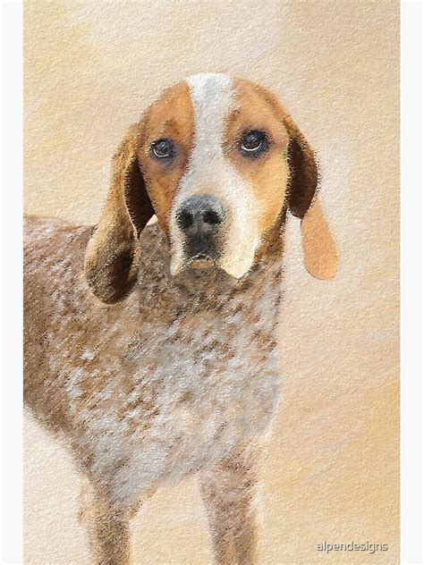 American English Coonhound Painting Original Dog Art Poster By