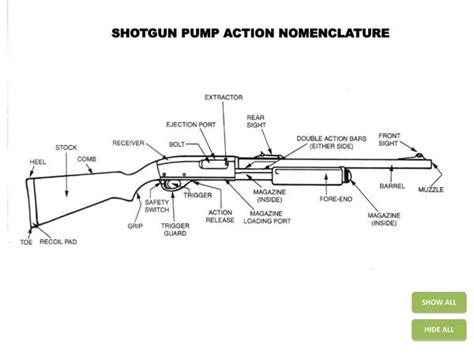 Pump Action Shotgun Diagram