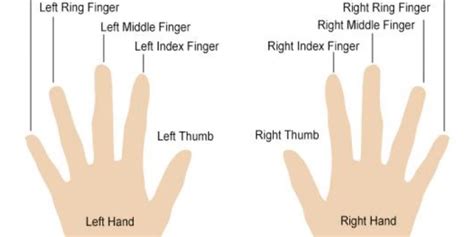 Meaning Of Each Finger For Wearing Rings Diamonds Factory Ireland