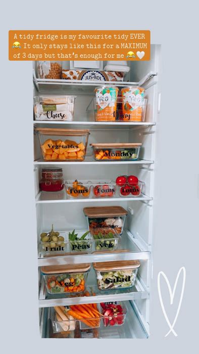 Stacey Solomon Just Showed Off The Seriously Genius Way She Keeps Her Fridge Organised