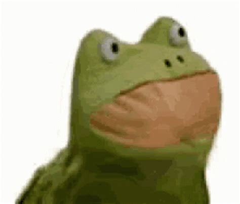 Frogs Memes Frogs Memes Dancing Ищите файлы и обменивайтесь ими