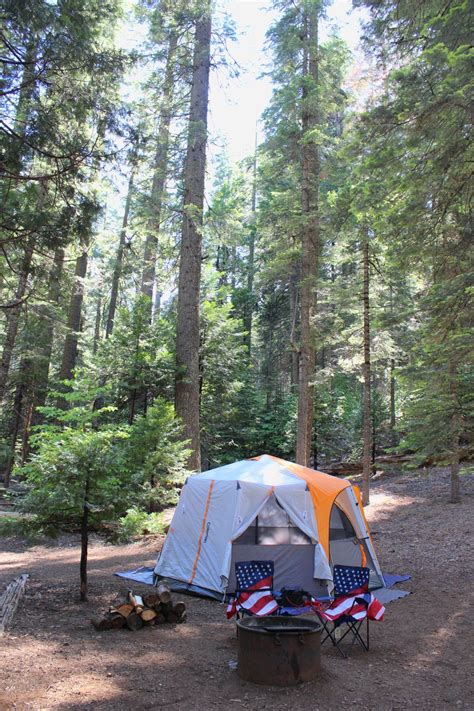 Hike along easy trails among. Calaveras Big Trees State Park CA | Big tree, State parks ...