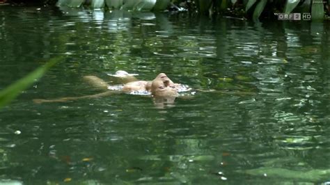 Fluss Des Lebens Verloren Am Amazonas Nude Pics Page