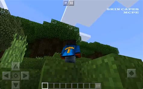 Custom Skin In Capes For Mcpe For Android Apk Download