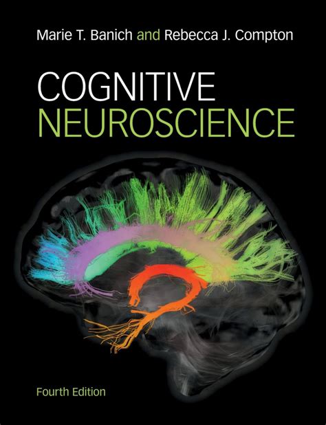 Cognitive Neuroscience Ebook In 2020 Neuroscience Science Books