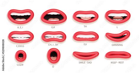 3d Lip Sync Character Mouth Animation Lips Sound Pronunciation Chart
