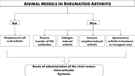 Animal Models Of Rheumatoid Arthritis Intechopen