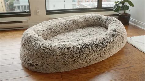 You Can Now Get A Giant Dog Bed For Humans