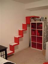 Images of Cat Shelves Stairs