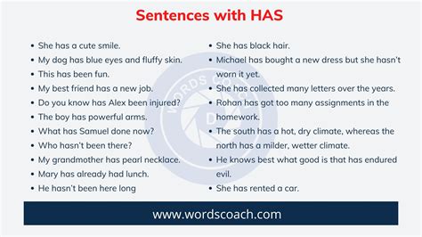 50 Sentences With Has Word Coach