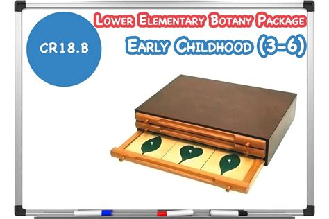 Montessori Materials Lower Elementary Botany Package