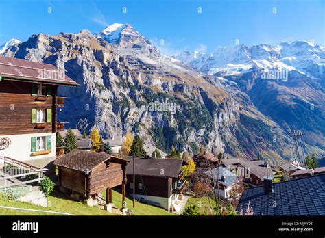 Traditional Chalets Of Murren Village And Jungfrau Montain At Autumn