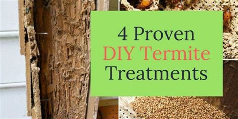 4 Proven Diy Termite Treatments Termite Treatment Diy Termite