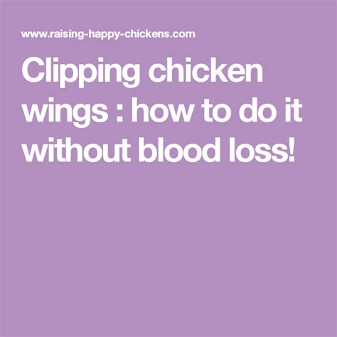 Clipping Chicken Wings The Quick And Painless Way Clipping Chickens