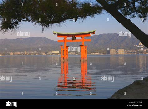 The ´´floating Torii Gate´´ At Itsukushima Island Japan Stock Photo