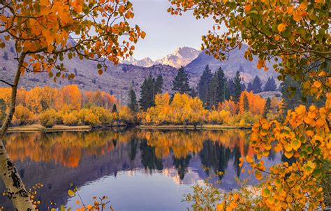 Wallpaper Autumn Trees Mountains Branches Reflection River Ca
