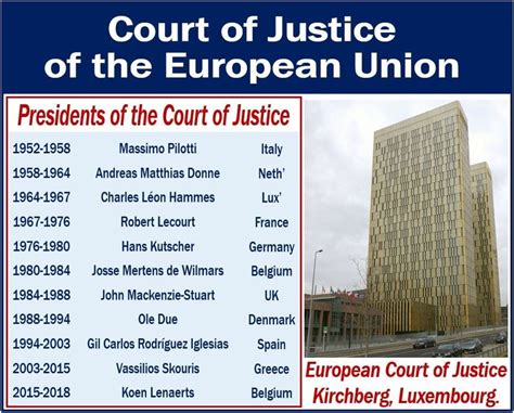 What Is The Court Of Justice Of The European Union Cjeu Definition