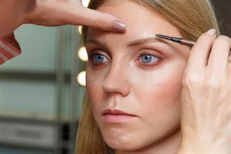 Makeup Artist Emphasizes Eyebrows On Model S Face Stock Image Image