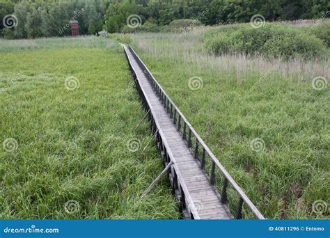 Pontoon Bridge Over Swamp Stock Photo Image Of Outdoor 40811296