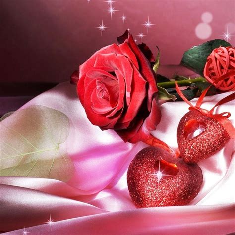 Rose Flower Live Wallpaper Apk For Android Download